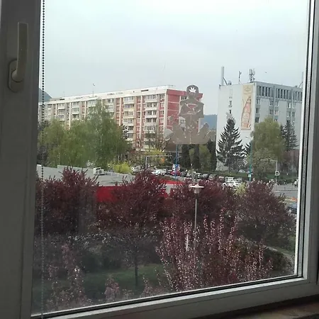 Апартаменти Studio Victoria Брашов